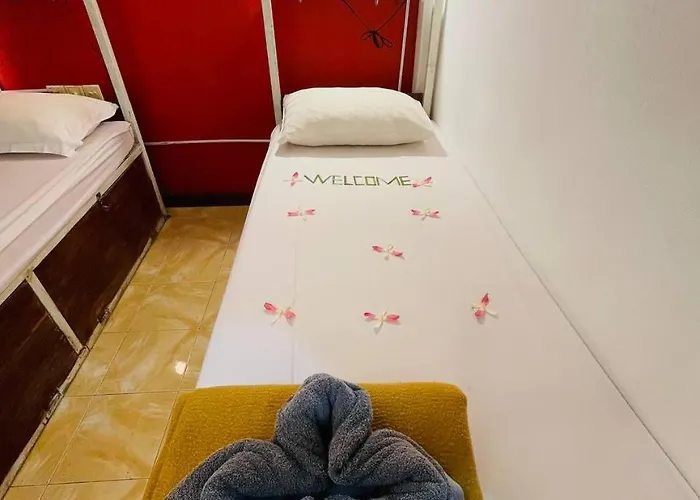 Vplus 暹粒